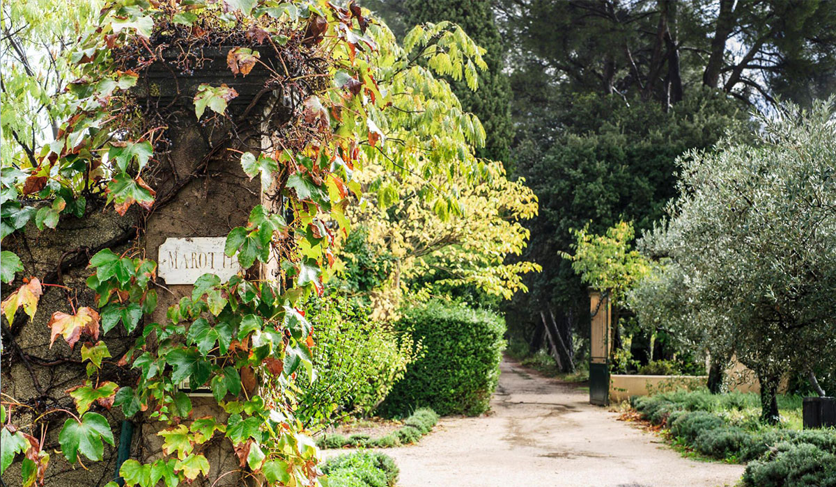 Secret Gardens of France: Botanical Beauty Across the Country