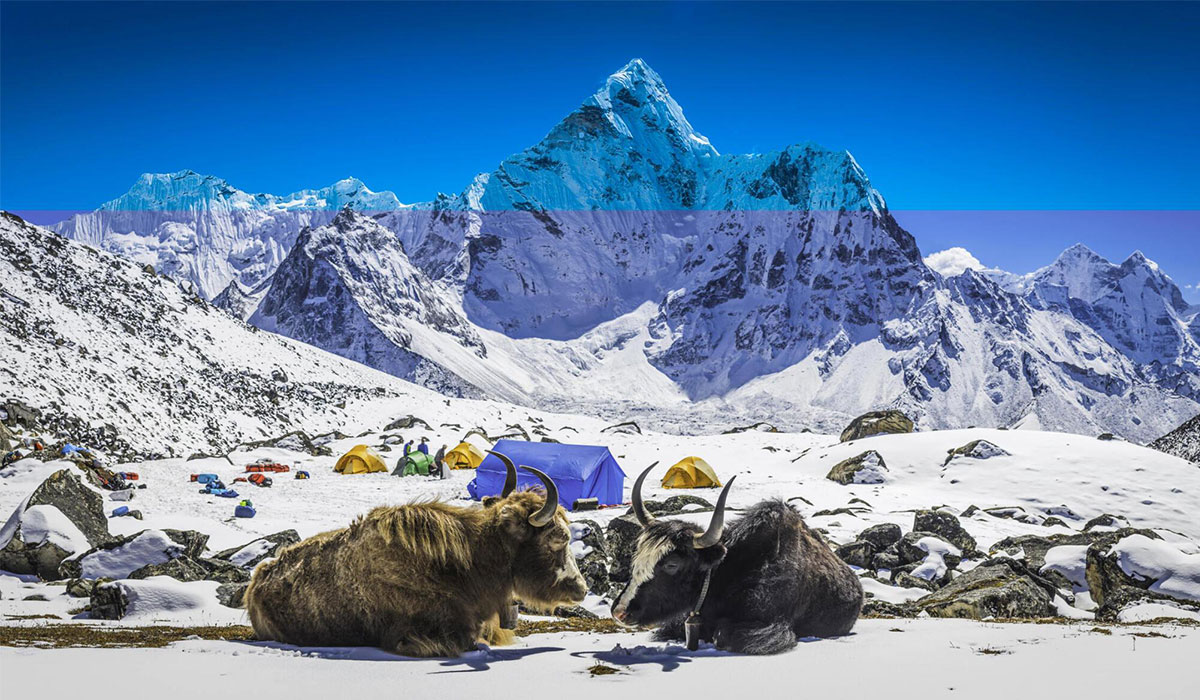 Discover Trekking Trails of Nepal: A Hiker’s Paradise