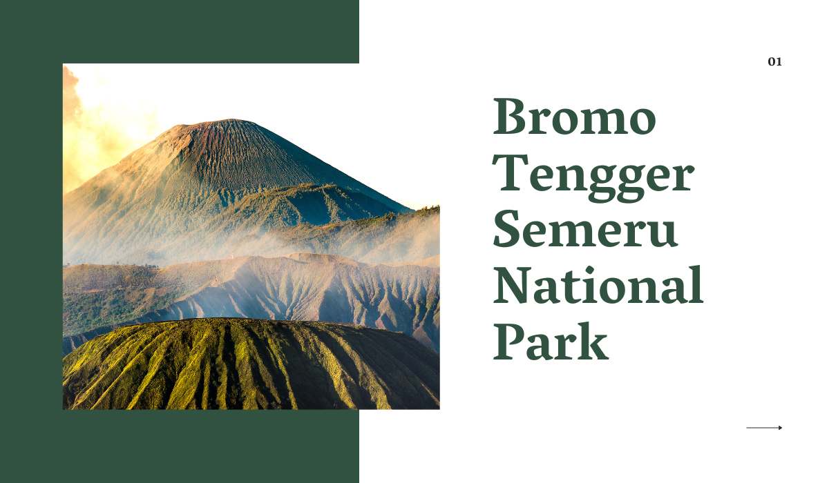 The Magnificent Bromo Tengger Semeru National Park