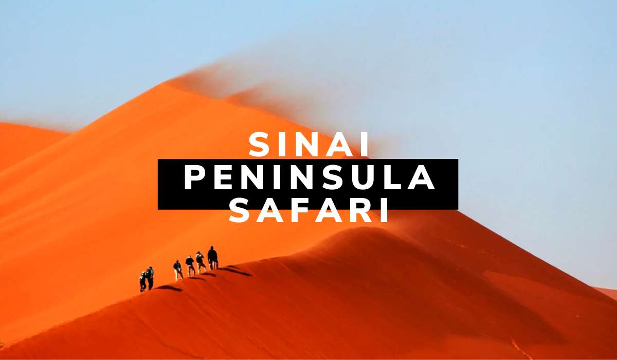 Sinai Peninsula Safari: Adventure Off the Beaten Track